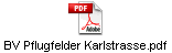 BV Pflugfelder Karlstrasse.pdf