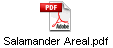 Salamander Areal.pdf